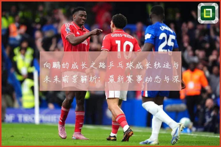 向鹏的成长之路乒乓球成长轨迹与未来前景解析：最新赛事动态与深度分析